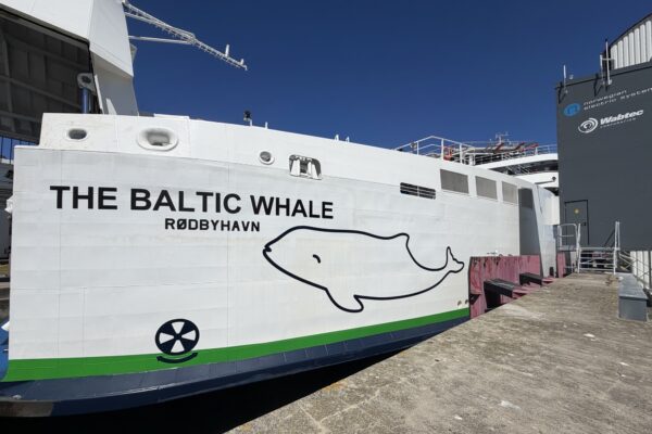 Scandlines: Przyłącze zasilania z lądu w Puttgarden już działa